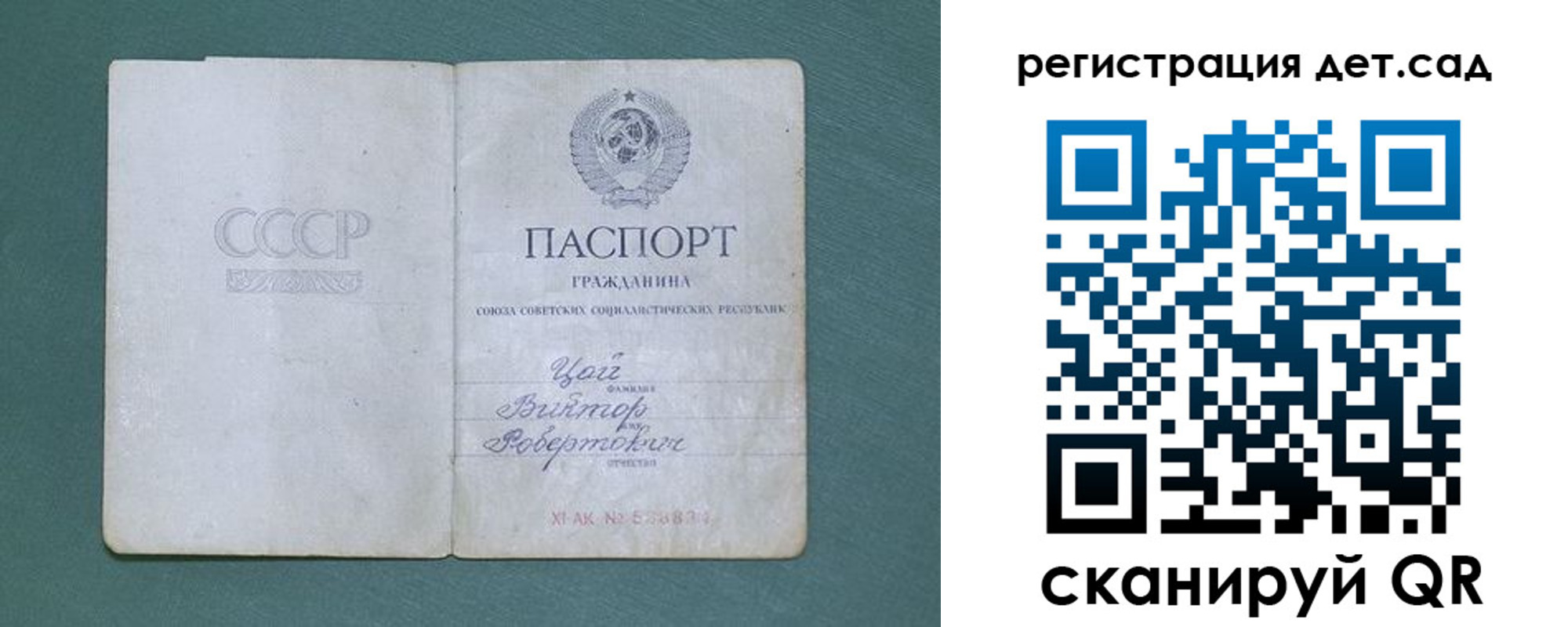 временная регистрация гарантия в Железногорске
